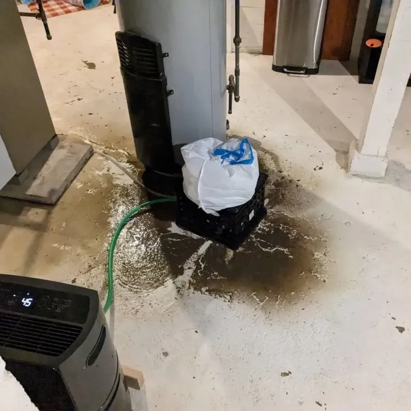 Sewage Backup Cleanup Service in Laurence Harbor, NJ